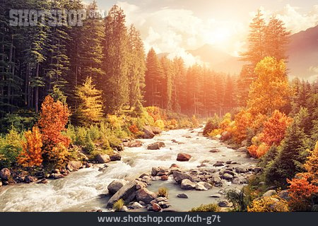 
                Herbst, Wildbach, Herbstlandschaft                   
