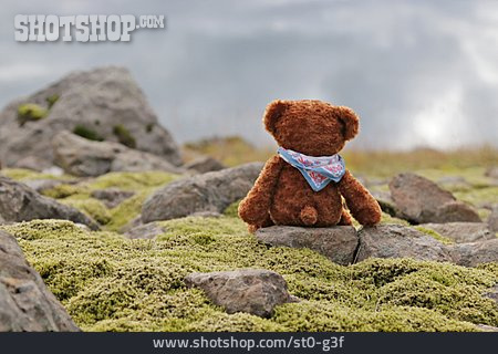 
                Island, Teddybär                   