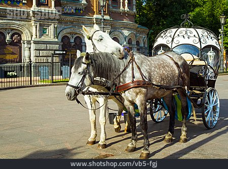 
                Kutsche, Pferdekutsche, Sankt Petersburg                   