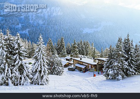 
                Schweiz, Hochgebirge, Skipiste                   