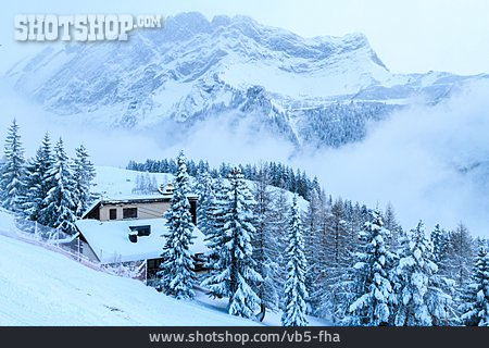 
                Winterlandschaft, Alpen, Schweiz                   