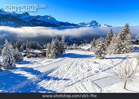 
                Winterlandschaft, Schweiz, Les Diablerets                   