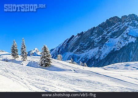 
                Winter, Winterlandschaft, Skipiste                   