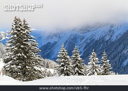 
                Winterlandschaft, Berglandschaft, Winterwald                   