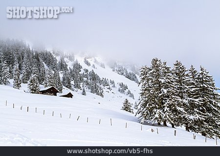 
                Winterlandschaft, Winterurlaub, Villars-sur-ollon                   