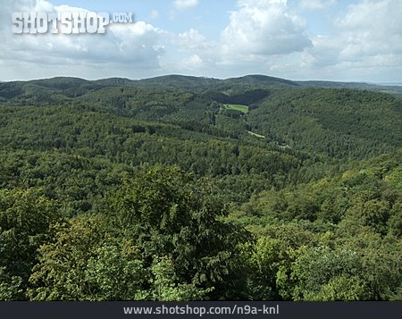 
                Wald, Eisenach                   