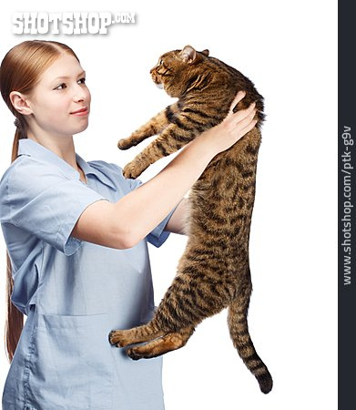 
                Katze, Untersuchung, Tierärztin                   