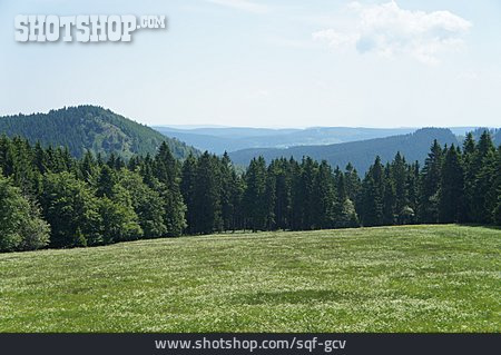 
                Landschaft, Mittelgebirge, Thüringer Wald                   