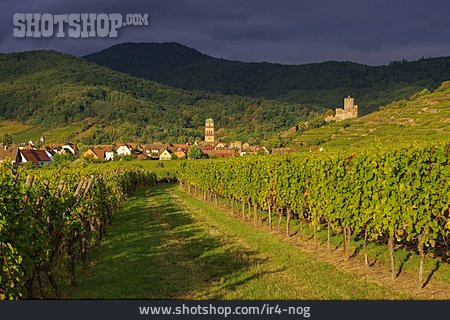 
                Elsass, Weinbaugebiet, Kaysersberg                   