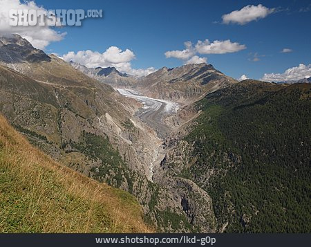 
                Gletscher, Großer Aletschgletscher                   