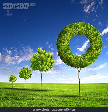 
                Baum, Umwelt, Ring                   