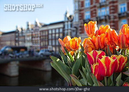 
                Niederlande, Amsterdam                   