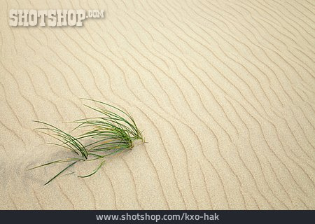 
                Sand, Trockenheit                   