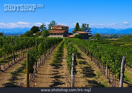 
                Weingut, Weinanbaugebiet, Manzano                   