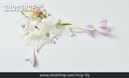 
                Blüten, Floral                   