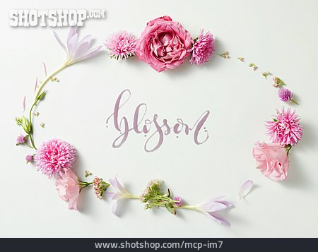 
                Blüten, Blühen, Floral, Floristik                   