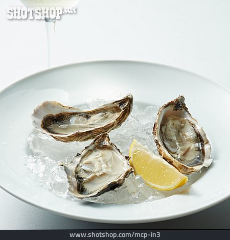 
                Oyster, Delicacy                   