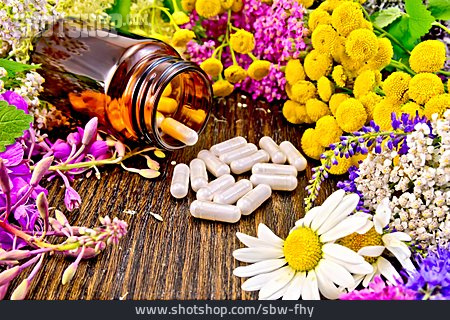 
                Heilkräuter, Naturheilkunde, Alternative Medizin                   