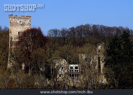 
                Burgruine, Burg Grenzau                   