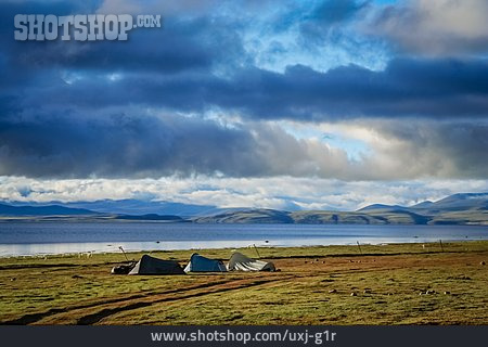 
                Tibet, Camping, Manasarovar                   