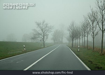 
                Nebel, Landstraße                   