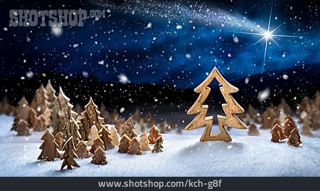 
                Winter Landscape, Shooting Star, Christmas Decoration                   