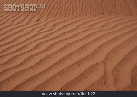 
                Wüste, Sandboden                   
