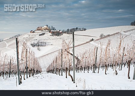 
                Winter, Schloss, Weinberg, Staufenberg, Durbach                   