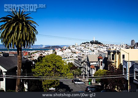 
                San Francisco, Telegraph Hill                   