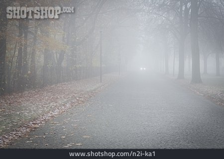 
                Gefahr & Risiko, Nebel, Landstraße                   