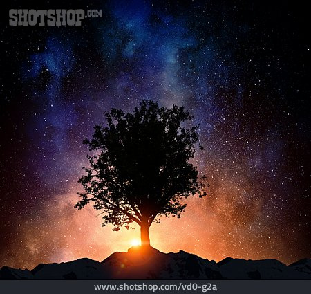 
                Baum, Sternenhimmel, Universum                   