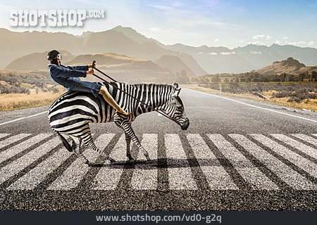 
                Humor & Skurril, Zebrastreifen, Zebra, überqueren                   