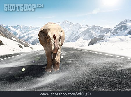 
                Winterlandschaft, Elefant, Eiszeit                   