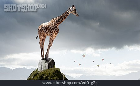 
                Traum, Giraffe, Höhenangst                   