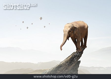 
                Balance, Gipfel, Elefant                   