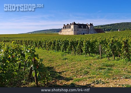 
                Weingut, Burgund, Clos De Vougeot                   