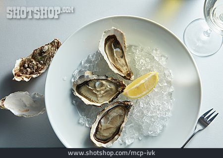 
                Delicacy, Seafood, Oysters                   