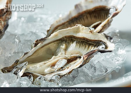 
                Luxury, Delicacy, Oysters                   