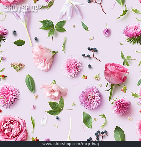 
                Hintergrund, Rosa, Blüten                   