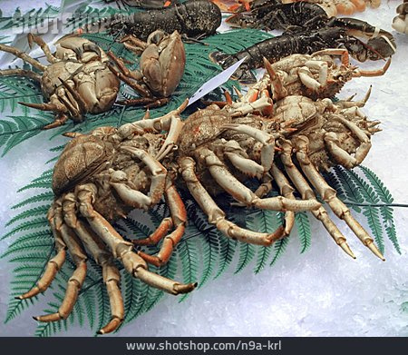 
                Krabbe, Meeresfrüchte                   