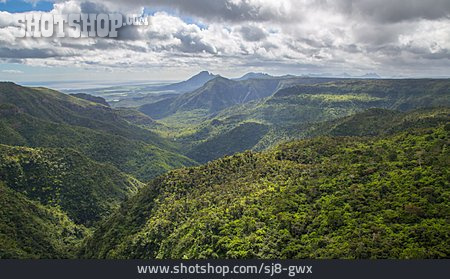 
                Nationalpark, Regenwald, Mauritius, Black River Georges Nationalpark                   