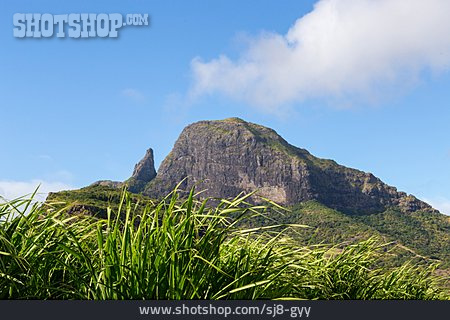 
                Mauritius                   