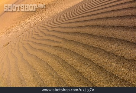 
                Wüste, Düne, Rippelmarke                   