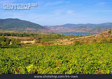 
                Weinanbaugebiet, Lac Du Salagou                   