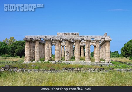 
                Paestum, Griechischer Tempel, Kampanien                   