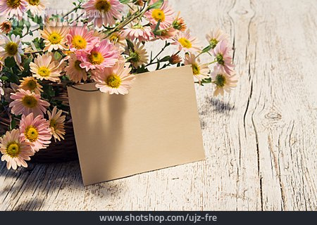 
                Chrysantheme, Grußkarte                   