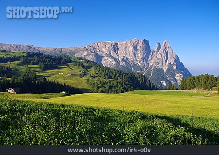 
                Schlern, Südtiroler Dolomiten, Seiser Alm                   