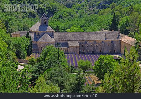 
                Kloster, Senanque, Notre-dame De Senanque                   