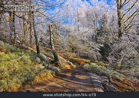 
                Winter, Sächsische Schweiz                   