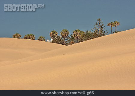 
                Sanddüne, Maspalomas, Gran Canaria                   